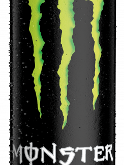 Monster ENERGY Lata 25